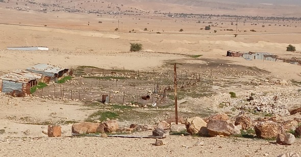 Settlers attack lands in Arab Al-Malihat
