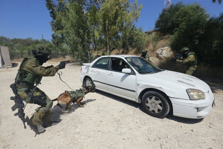 The Israeli army creates a reserve battalion of “veterans”