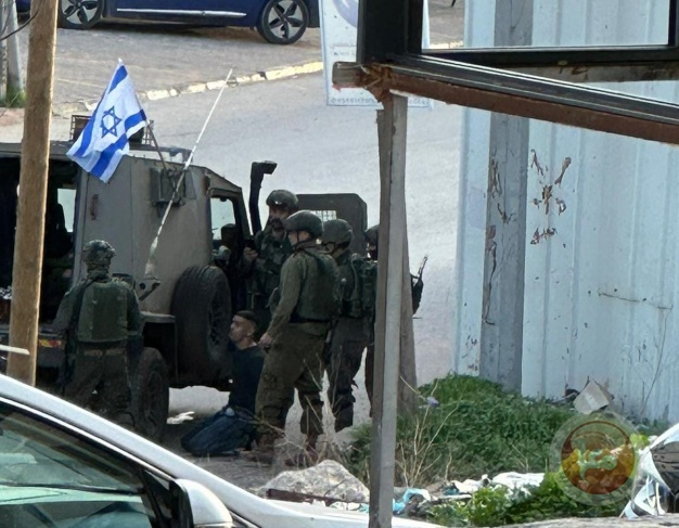 322 attacks carried out by the occupation and its settlers during January in Salfit