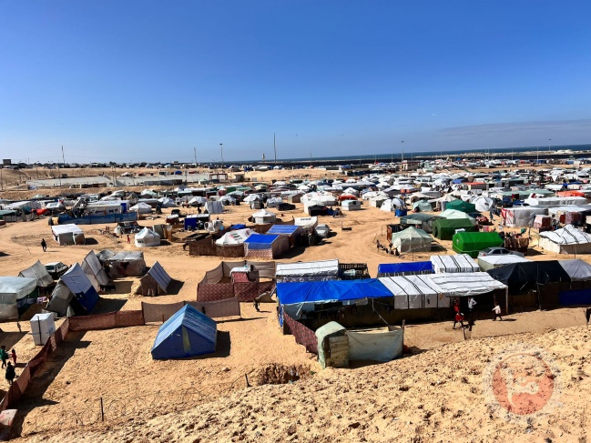 النازحون ينصبون خيامهم داخل الشريط الحدودي بحثا عن الأمان
