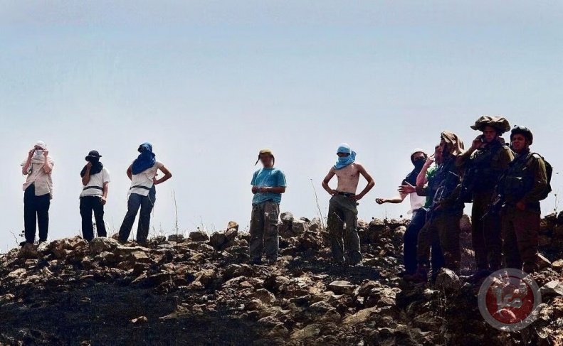 صورة ارشيفية