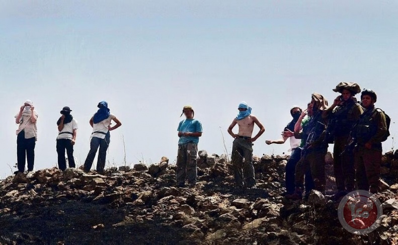 Settlers storm Jabal Al-Arma in Beita, south of Nablus