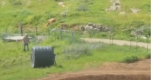 Settlers storm a water spring south of Nablus