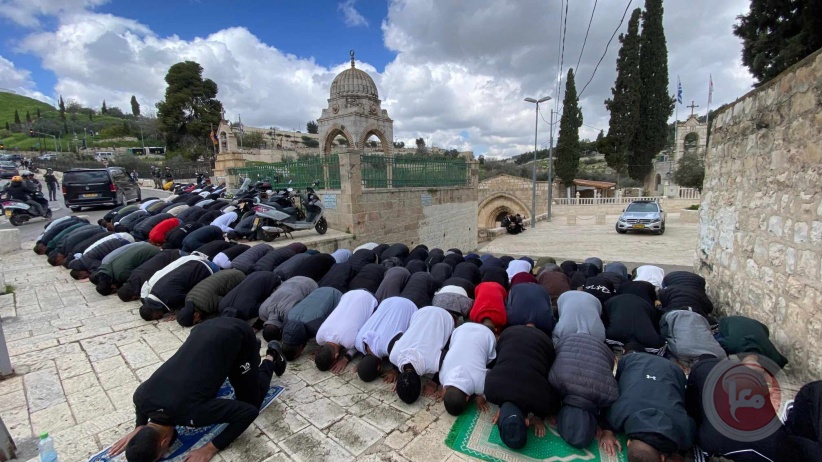 Contrary to the "occupation government's statements"... continued restrictions, and Al-Aqsa is devoid of worshipers