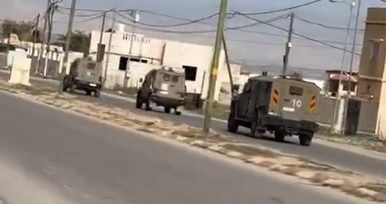 The occupation arrests a young man, detains dozens, and storms a factory in Jericho