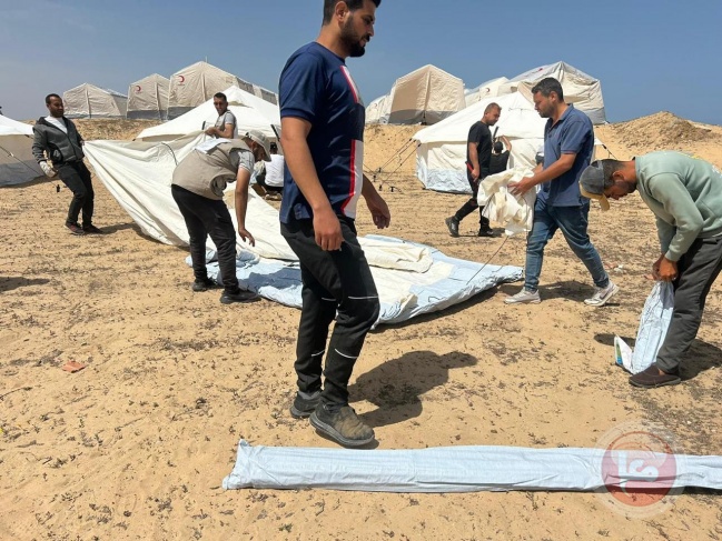 Distribution of 84 tents to the displaced in Rafah Governorate