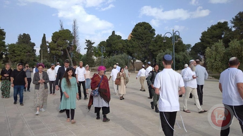 Settlers desecrate the blessed Al-Aqsa Mosque