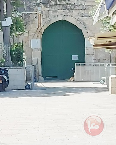 Arrest of a young woman - closing the gates of Al-Aqsa and the Old City