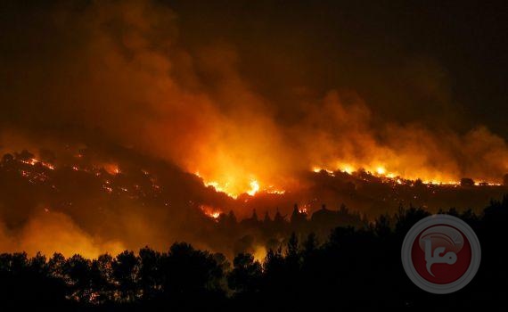 منذ بداية العام: احتراق أكثر من 240 ألف دونم في إسرائيل