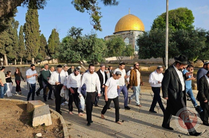 بذكرى نكبة الشعب الفلسطيني... مستوطنون يقتحمون الأقصى 