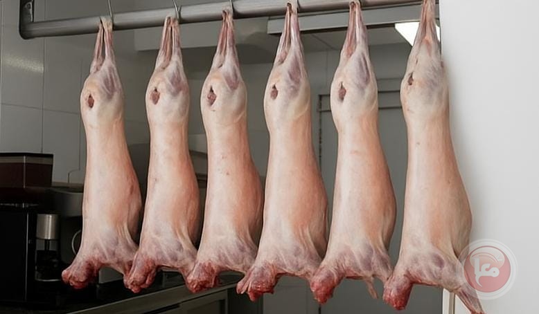فلتان الأسواق: لحوم بالعلالي وتجار يتحكمون بالاسعار بانتظار اجتماع حاسم غدا