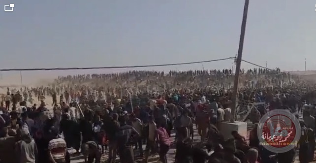 حكومي غزة: اسرائيل فشلت بمشروع توزيع المساعدات 