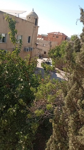 الاحتلال يعتقل طفلا وشابا في قراوة بني حسان غرب سلفيت
