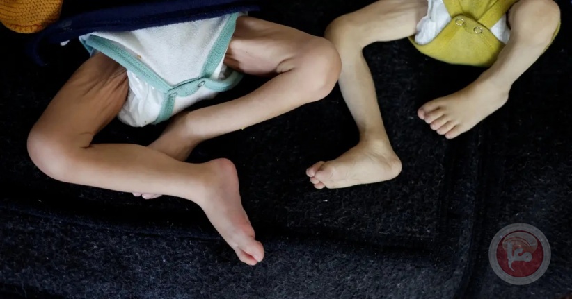 أطفال غزة يموتون جوعاً.. اليونيسف تدعو لإنقاذ جيل بأكمله من الهلاك