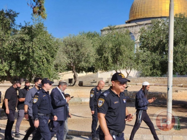 على رأسهم بن غفير- مئات المستوطنين يقتحمون باحات المسجد الأقصى (فيديو)