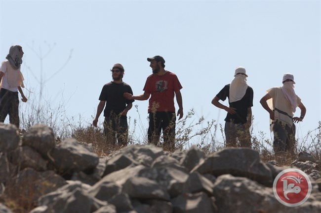 مستوطنون يرشقون المركبات غرب بيت لحم بالحجارة