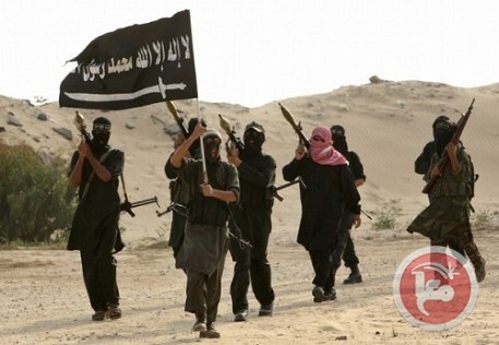 أهالي يقتلون 4 من أفراد الجماعات المسلحة بالشيخ زويد