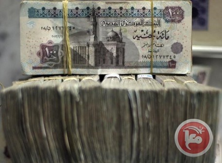الجنيه المصري يهبط إلى مستوى قياسي جديد عند 7.49 جنيه للدولار