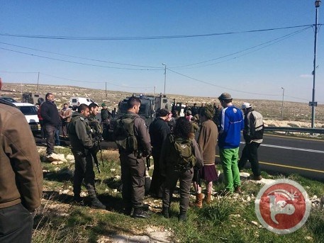 نشطاء بيت لحم يزرعون اشجار الزيتون حول مستوطنة &quot;نوكديم&quot;