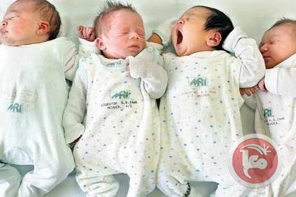 غزة- 4871 مولودا جديدا خلال يناير