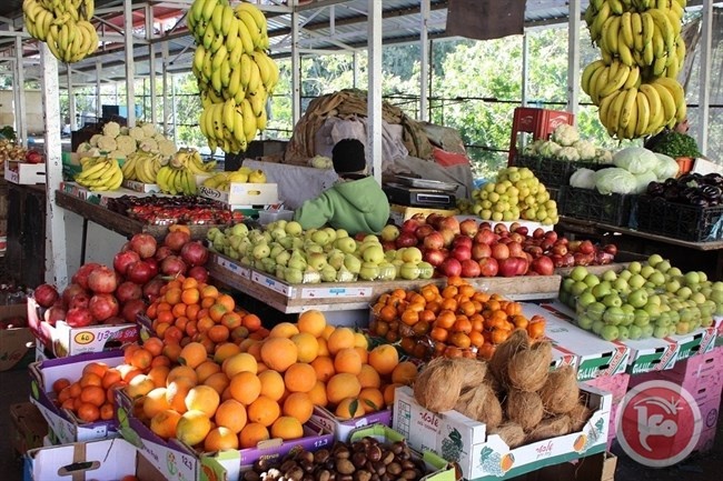 الزراعة بغزة تقرر منع استيراد الفواكه الاسرائيلية