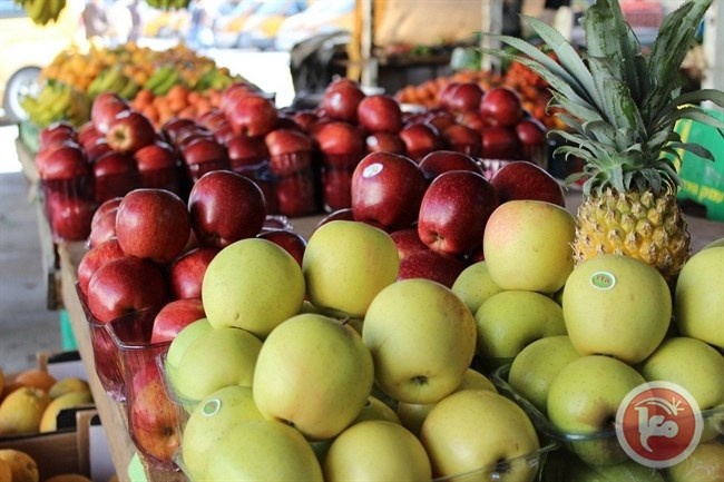 مالية غزة تمنع دخول الفواكه لغزة