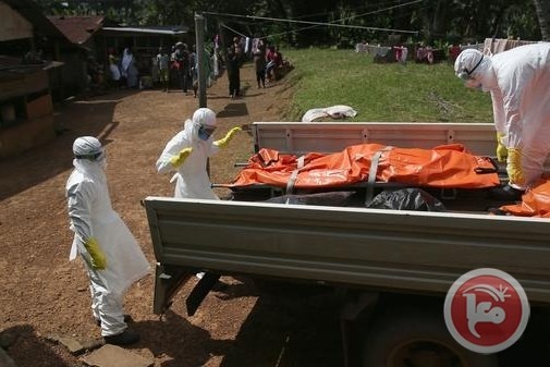 مادة عشبية علاج واعد لإيبولا