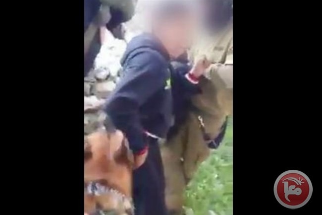 فيديو- جنود الاحتلال يحرضون كلابهم على نهش جسد طفل