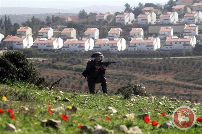 الخارجية: غياب العقوبات شجع إسرائيل على إقرار قانون مصادرة الأراضي