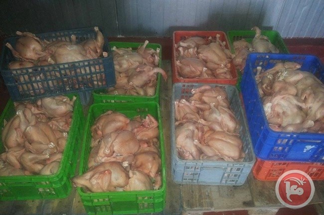 اتلاف تمور ولحم دجاج غير صالحين للاستهلاك في جنين وبيت لحم