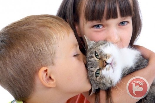 دراسة  تحذر: كورونا ينتقل من القطط إلى البشر