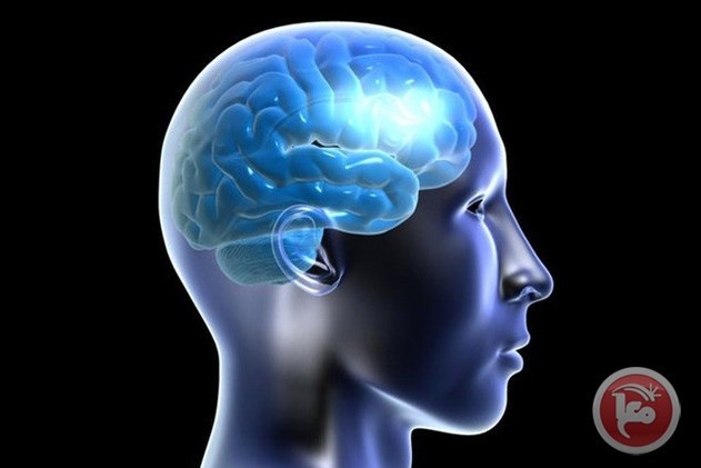 5 نصائح للحفاظ على حدة ونشاط المخ وصحته