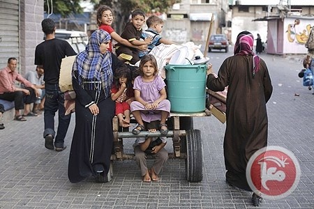 المرأة الغزّية.. مكانك قف