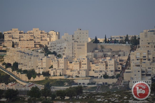 &quot;يش دين&quot;: مستمرون بمساعدة اصحاب الارض ضد الاستيطان