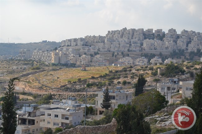 الخارجية تدين قرار بناء الاف الوحدات الاستيطانية في رام الله
