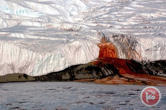 ماذا تخفي شلالات الدماء في القطب الجنوبي؟