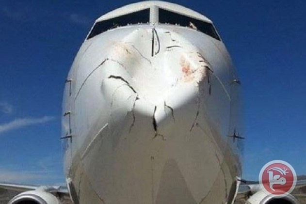 طائر يصطدم بمقدمة طائرة الخطوط الجوية التركية