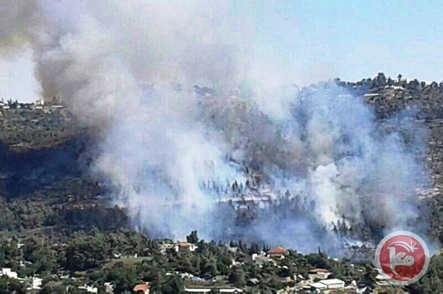 حريق قرب مستوطنة جيلو جنوب غرب القدس