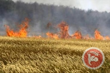 الاحتلال طلب مساعدة الدفاع المدني في غزة