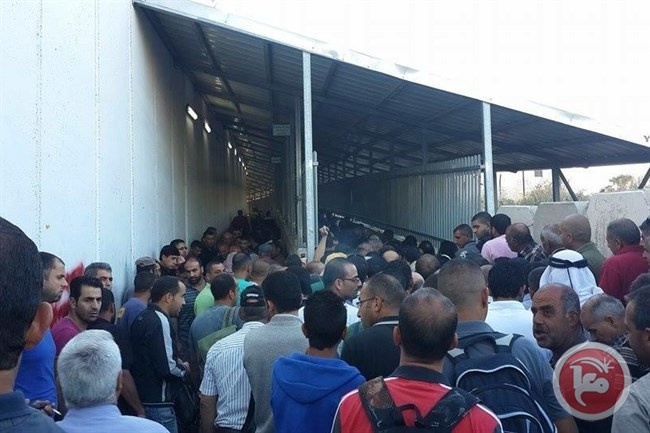 الاحتلال يعتقل 171 عاملا فلسطينيا