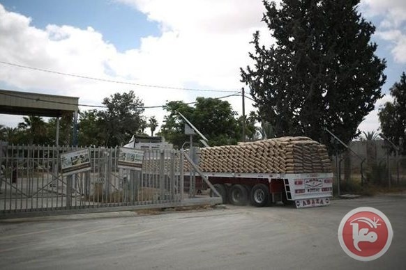 آلية توزيع الاسمنت في غزة