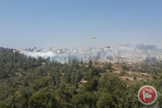 حريق كبير قرب ابو غوش غرب القدس