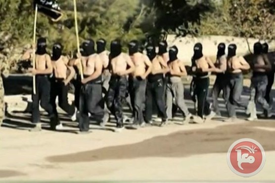 نبذة عن تنظيم &quot;ولاية سيناء&quot;