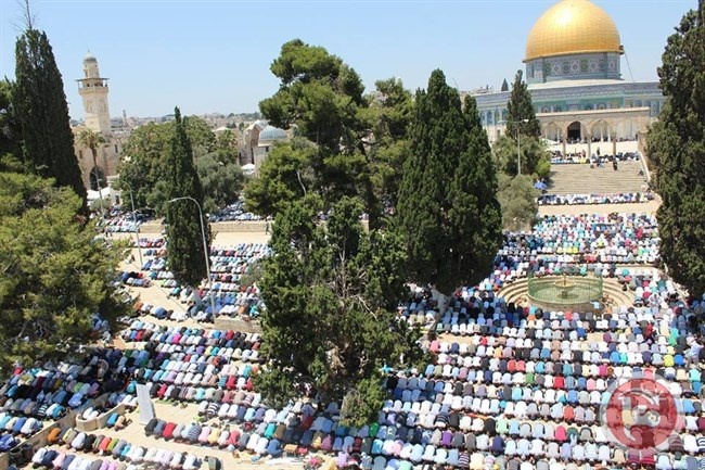 ردا على الاحتلال- إغلاق مساجد القدس وصلاة العيد في الأقصى
