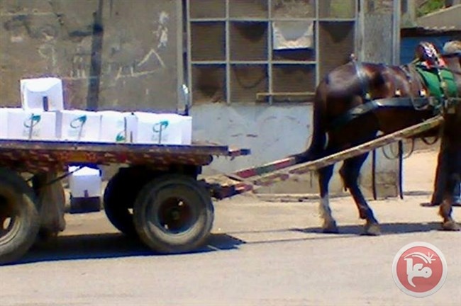 فلسطينيان يقتحمان حاجزا إسرائيليا بعربة يجرها حصان
