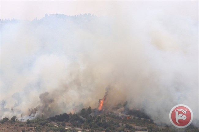 حريق كبير قرب مدينة الناصرة
