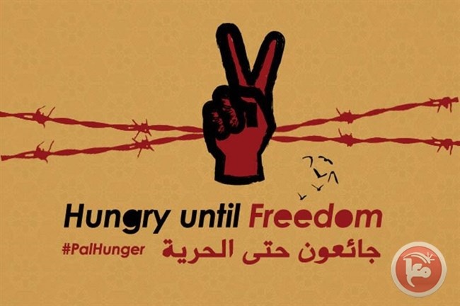 8 أسرى يواصلون إضرابهم المفتوح عن الطعام