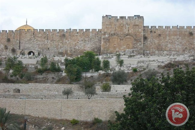 شبان سلوان يتصدون لمحاولة مصادرة أراض
