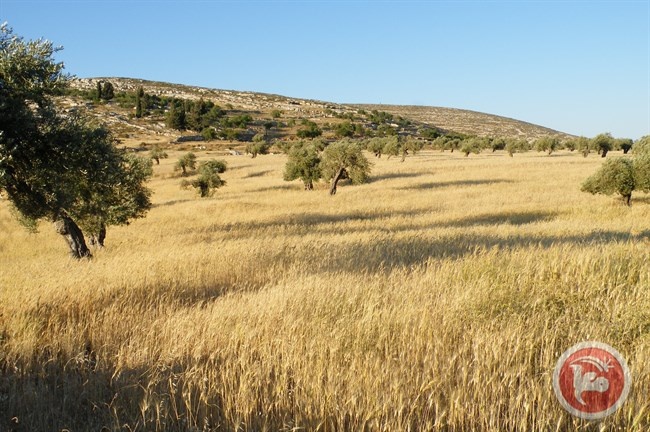 اجواء شديدة الحرارة