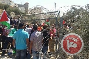 صور- متظاهرون يقتلعون الجدار الشائك في بير عونة